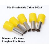 Cap fir 6mm lungime 10mm , galben , E6010